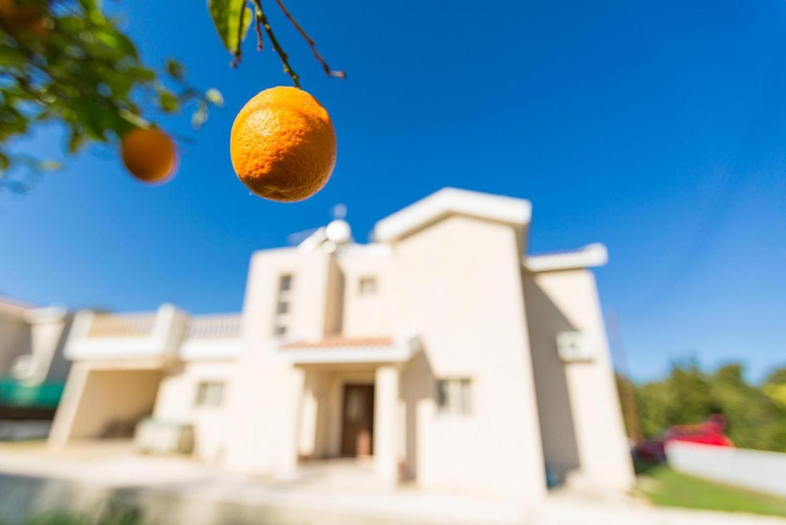 Villa Clementina Kato Yialia Εξωτερικό φωτογραφία